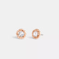 Halo Tea Rose Stud Earrings - Rose Gold