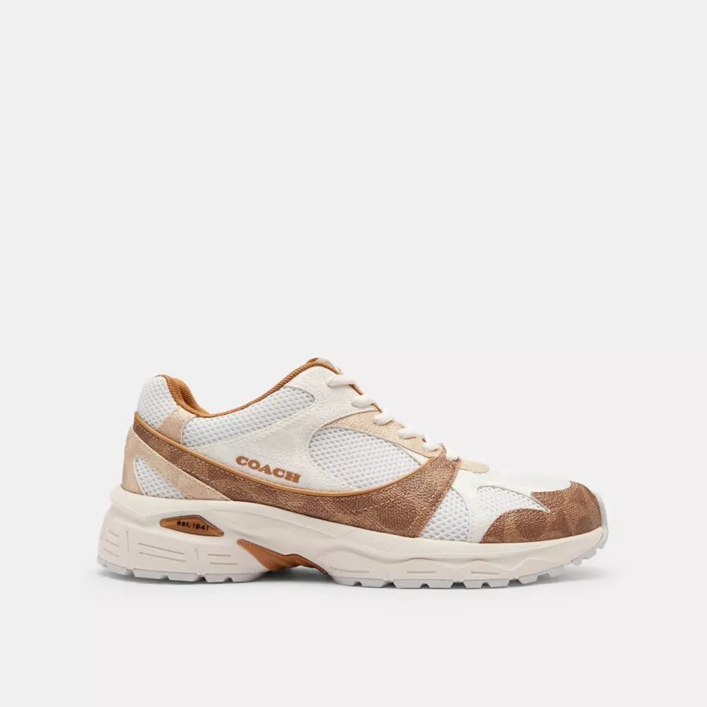 Sport Sneaker In Signature Canvas - Brown/Multi