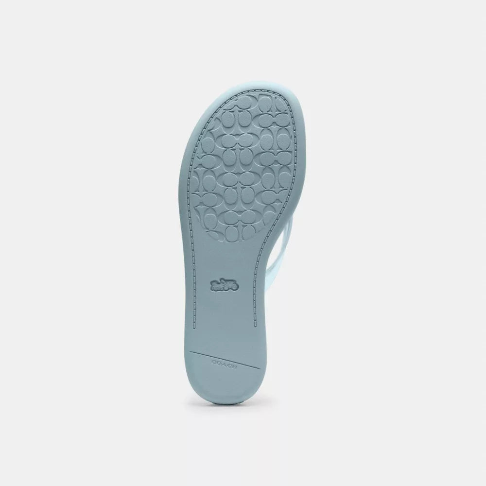 Jelly Flip Flop In Signature - Sea Mist