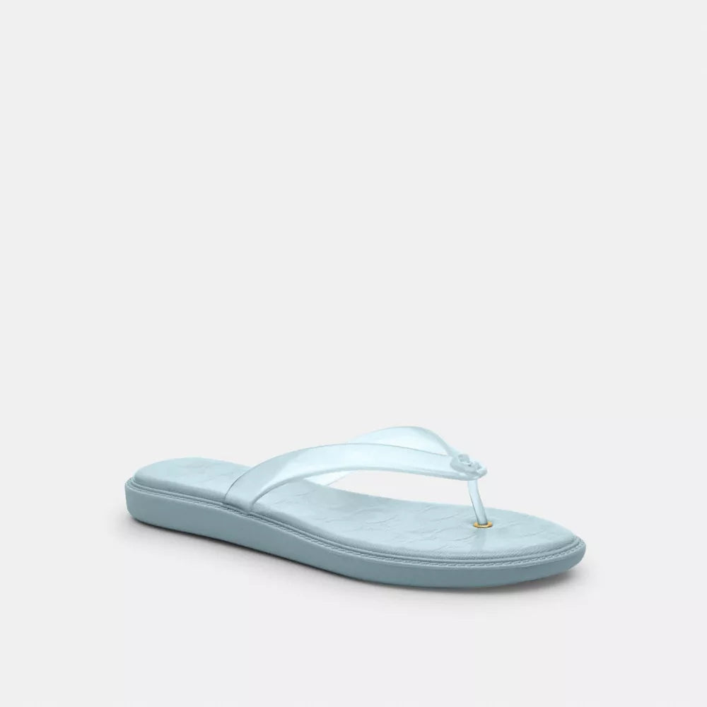 Jelly Flip Flop In Signature - Sea Mist