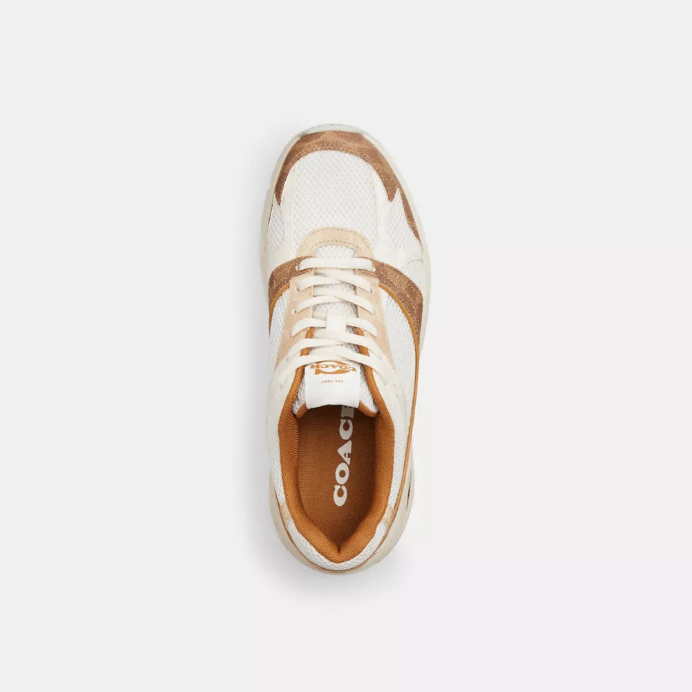 Sport Sneaker In Signature Canvas - Brown/Multi