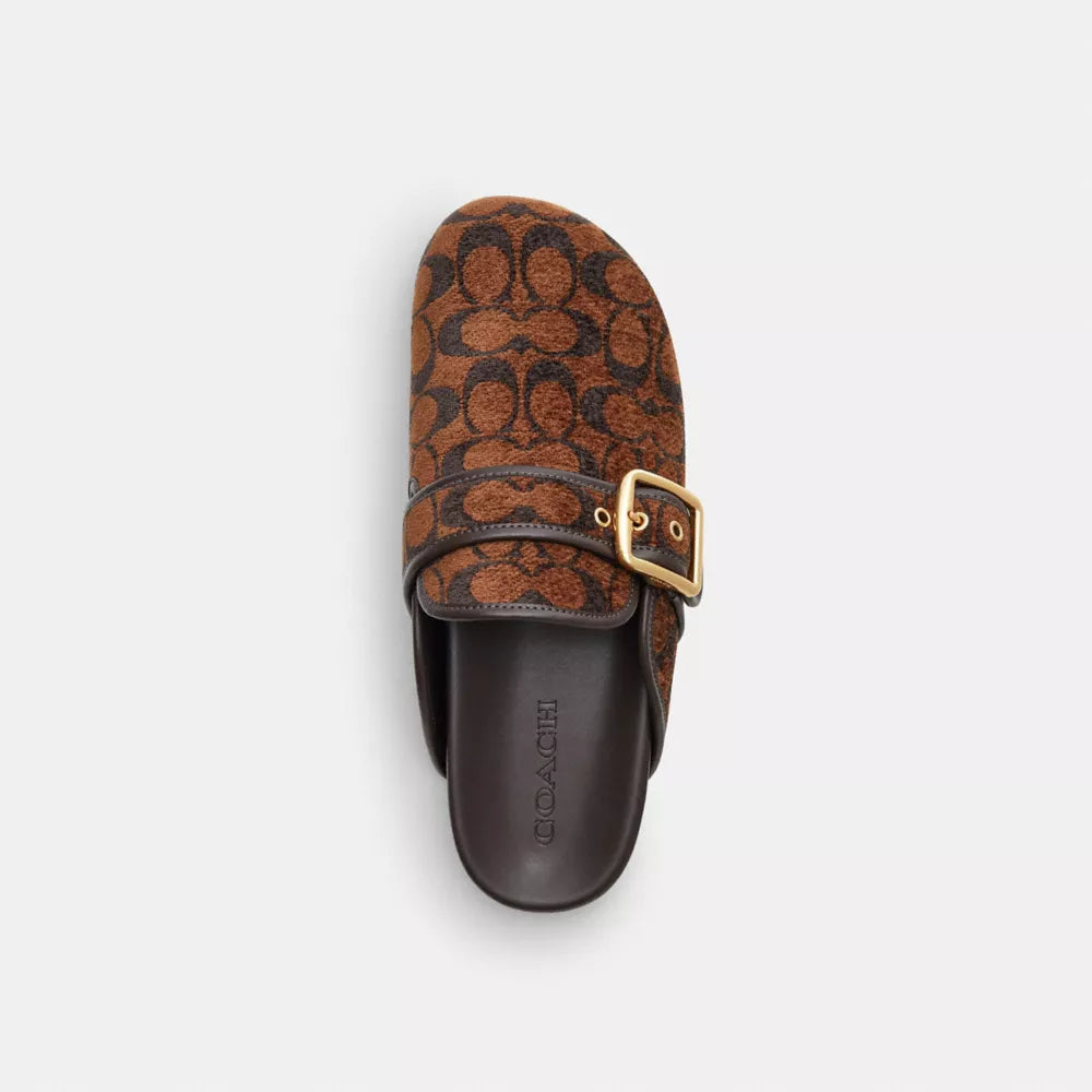 Archival Buckle Clog In Signature Chenille - Signature Chenille/Truffle
