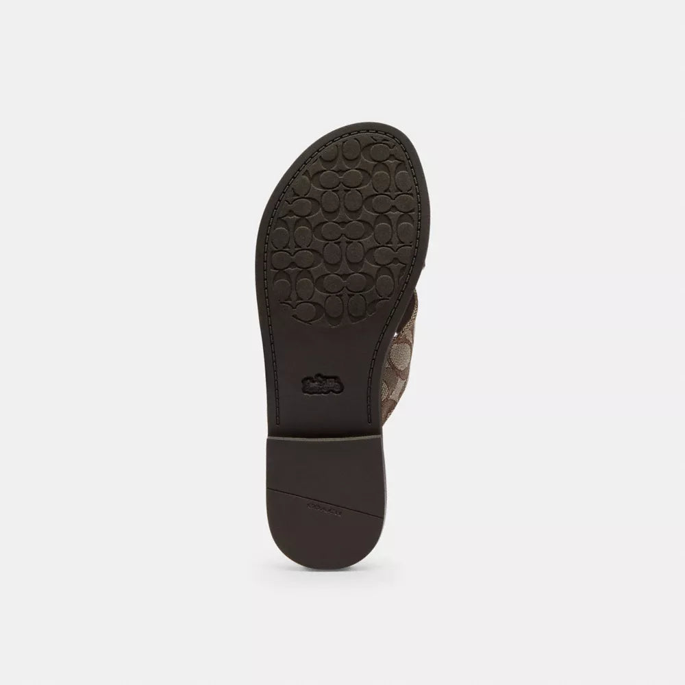 Crisscross Buckle Sandal In Signature Jacquard - Signature Jacquard/Oak/Maple