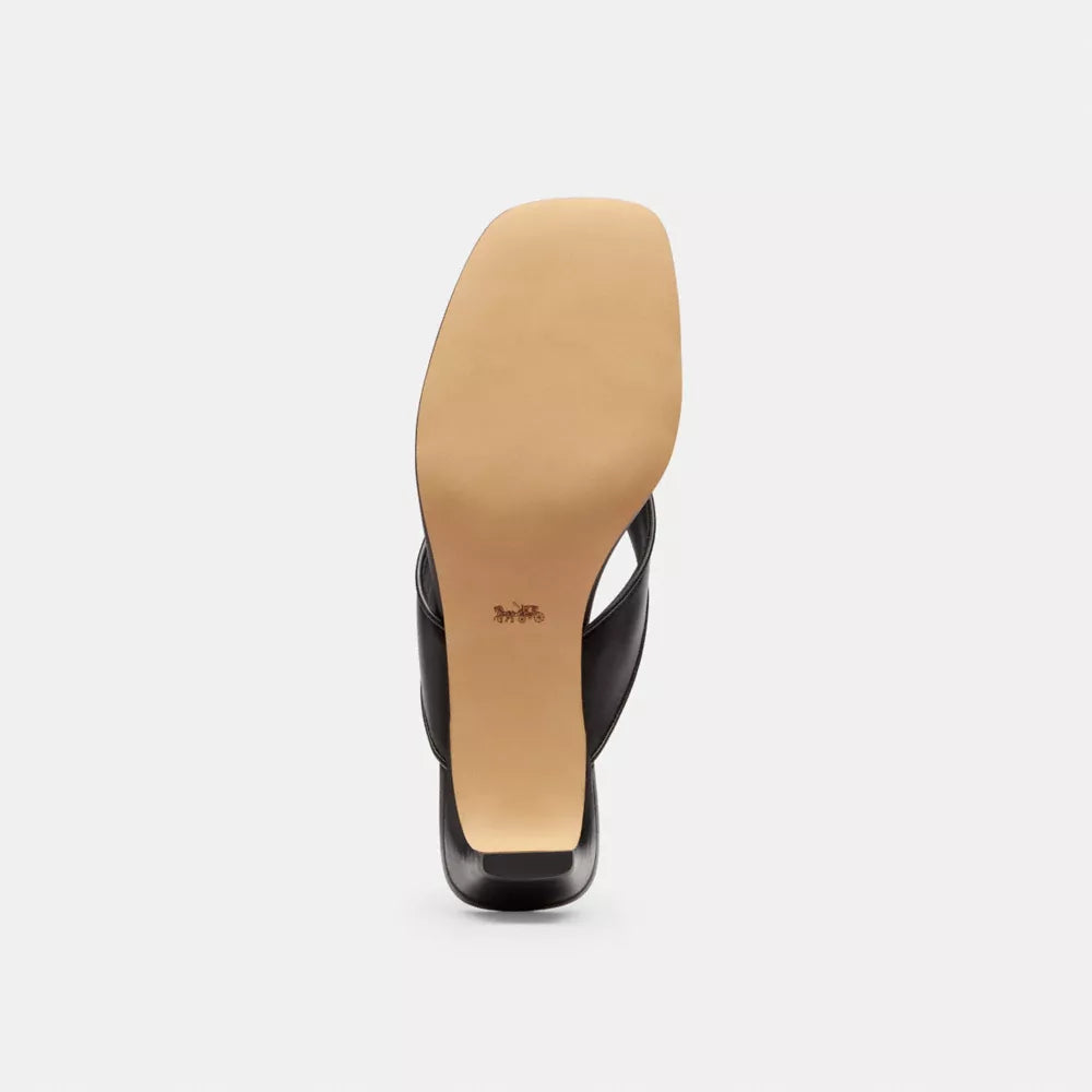 Bow Thong Kitten Heel - Coated Canvas/Black