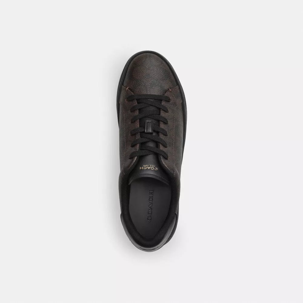 High Line Sneaker In Signature Canvas - Walnut & Black