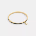 Moon Charm Enamel Thin Hinged Bangle - Gold/Black