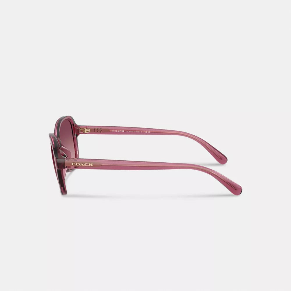 Oversized Oval Sunglasses - Berry