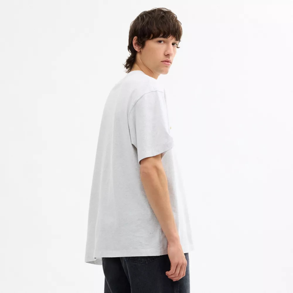 Rexy 10th Birthday Relaxed T-Shirt In Organic Cotton - Heather Grey