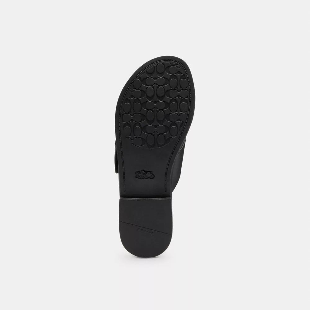 Crisscross Buckle Sandal - Coated Canvas/Black