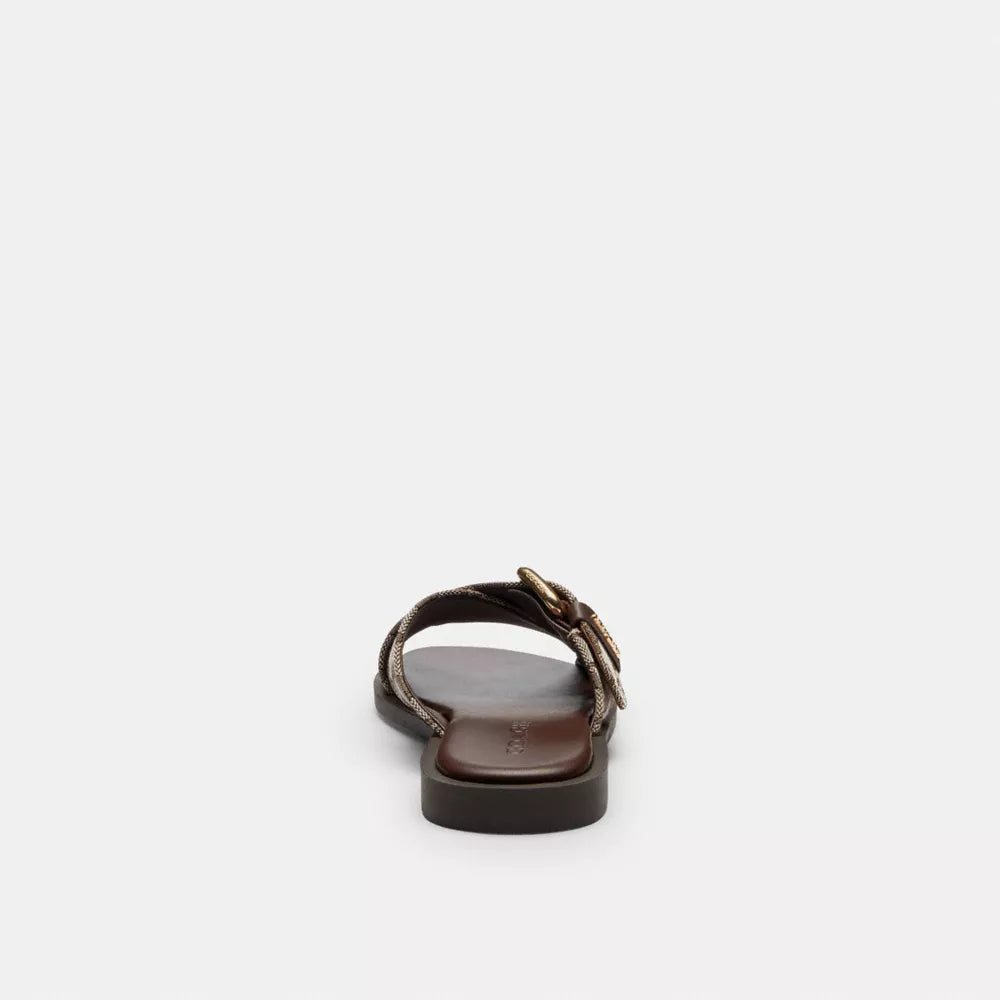 Crisscross Buckle Sandal In Signature Jacquard - Signature Jacquard/Oak/Maple