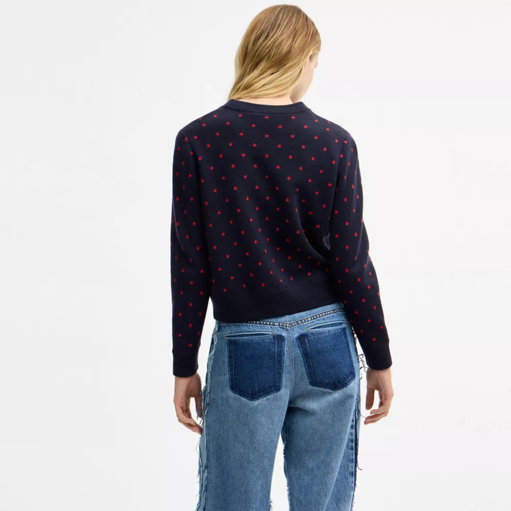 Coach Double Face Crewneck Sweater - Navy