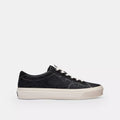 Skate Sneaker - Black/Chalk