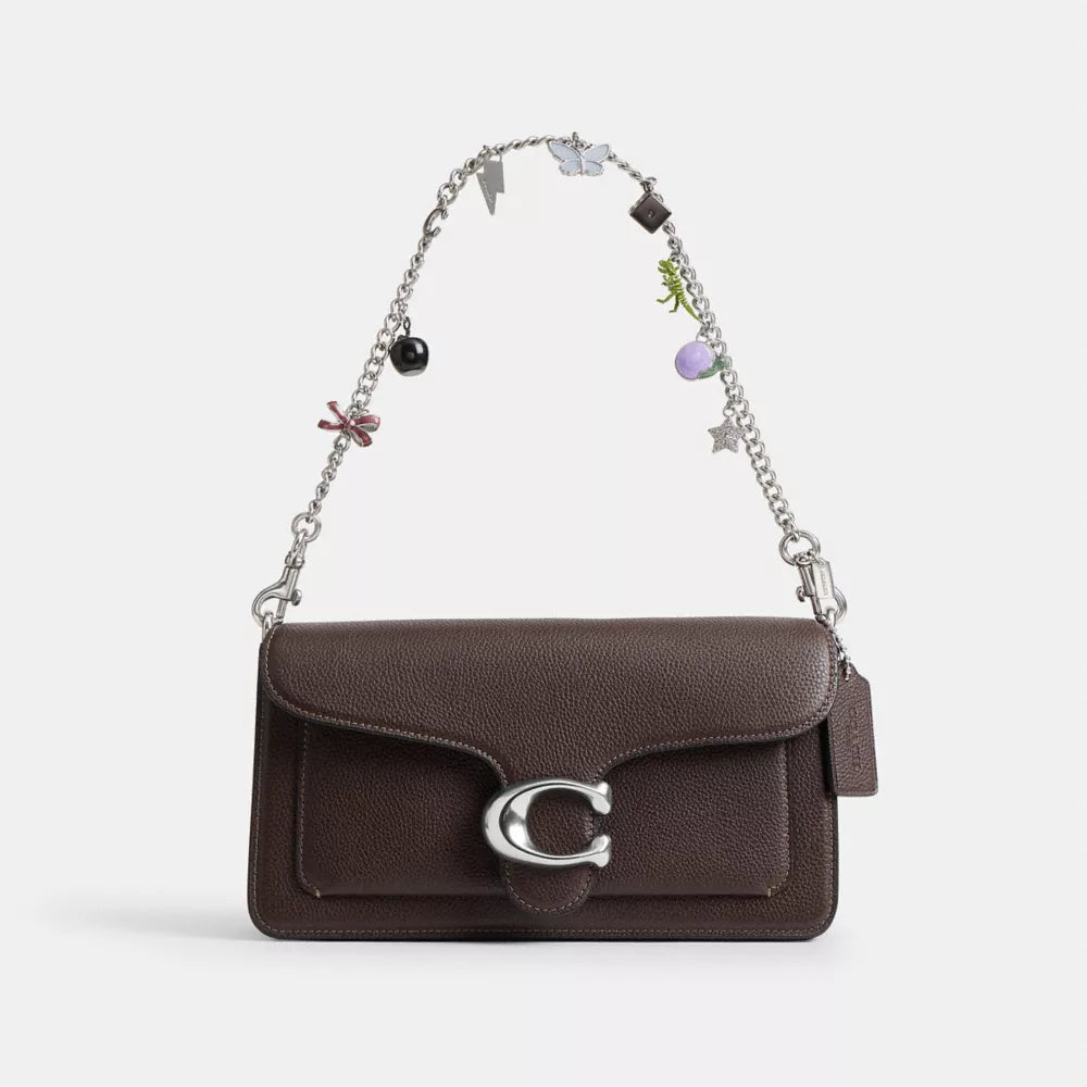 Charm Chain Strap - Silver/Multi