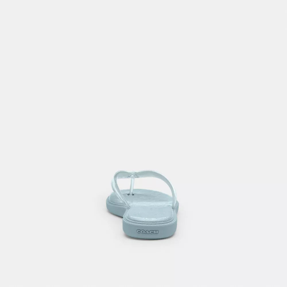 Jelly Flip Flop In Signature - Sea Mist