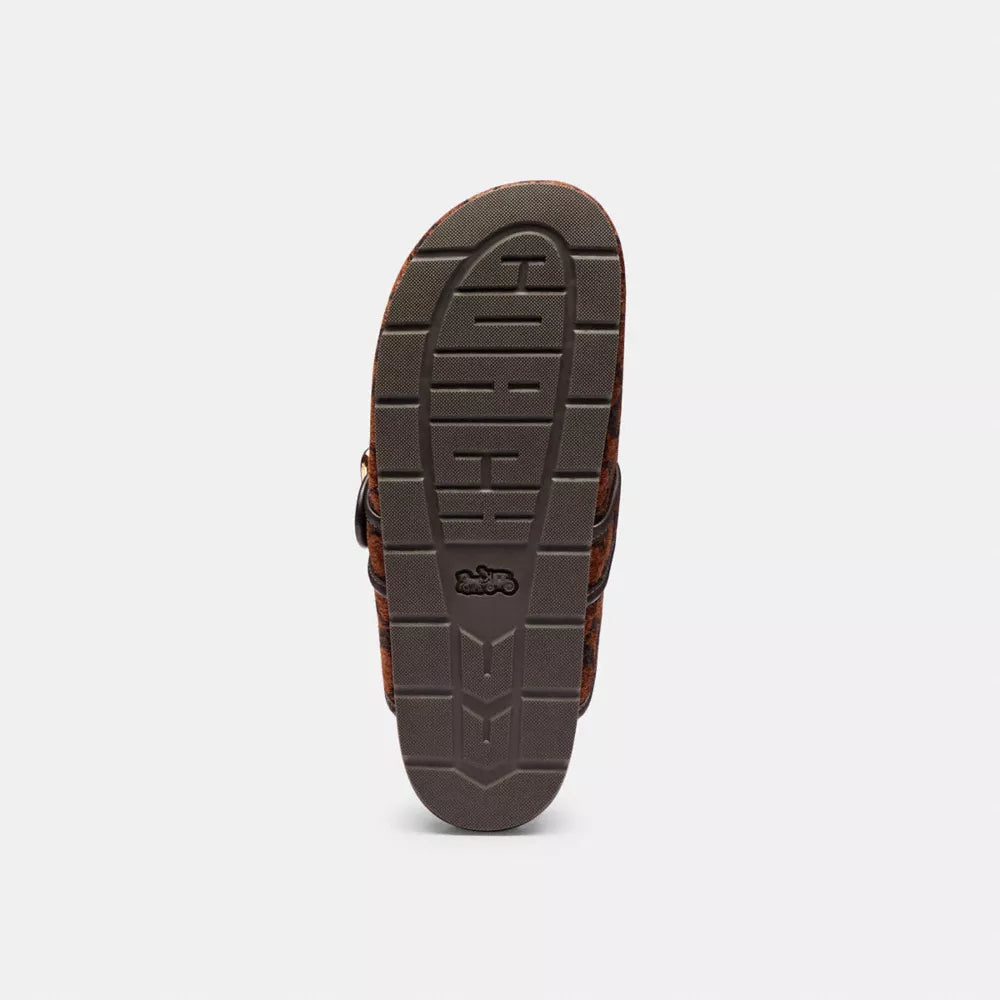 Archival Buckle Clog In Signature Chenille - Signature Chenille/Truffle