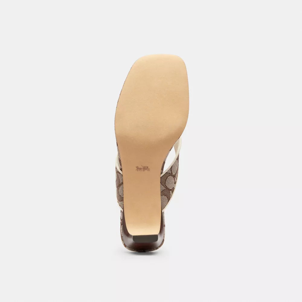 Bow Thong Kitten Heel In Signature Jacquard - Signature Jacquard/Oak/Chalk