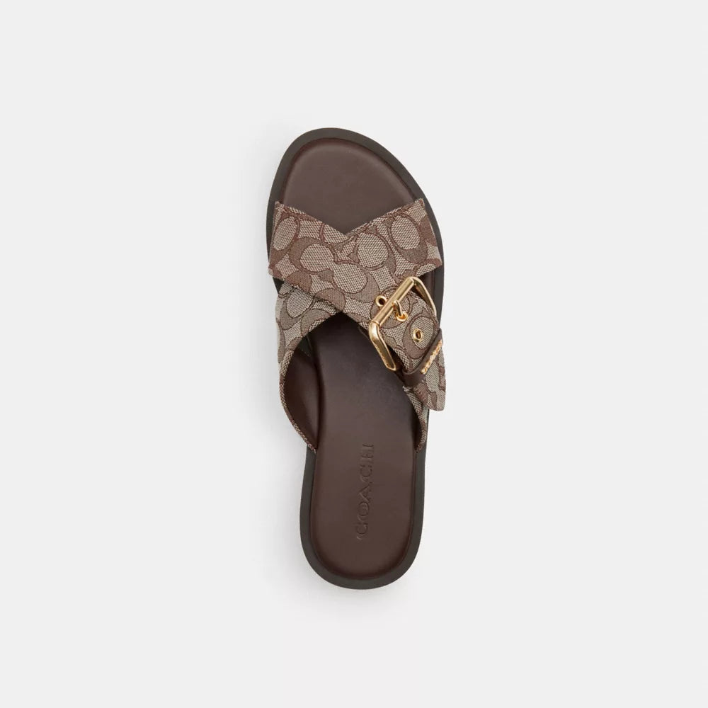 Crisscross Buckle Sandal In Signature Jacquard - Signature Jacquard/Oak/Maple