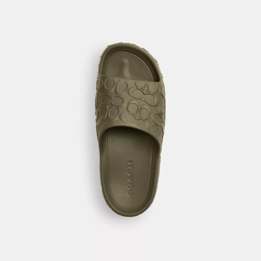 Bay Slide In Signature - Army Green