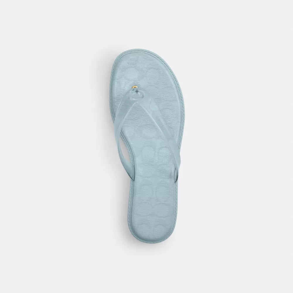 Jelly Flip Flop In Signature - Sea Mist