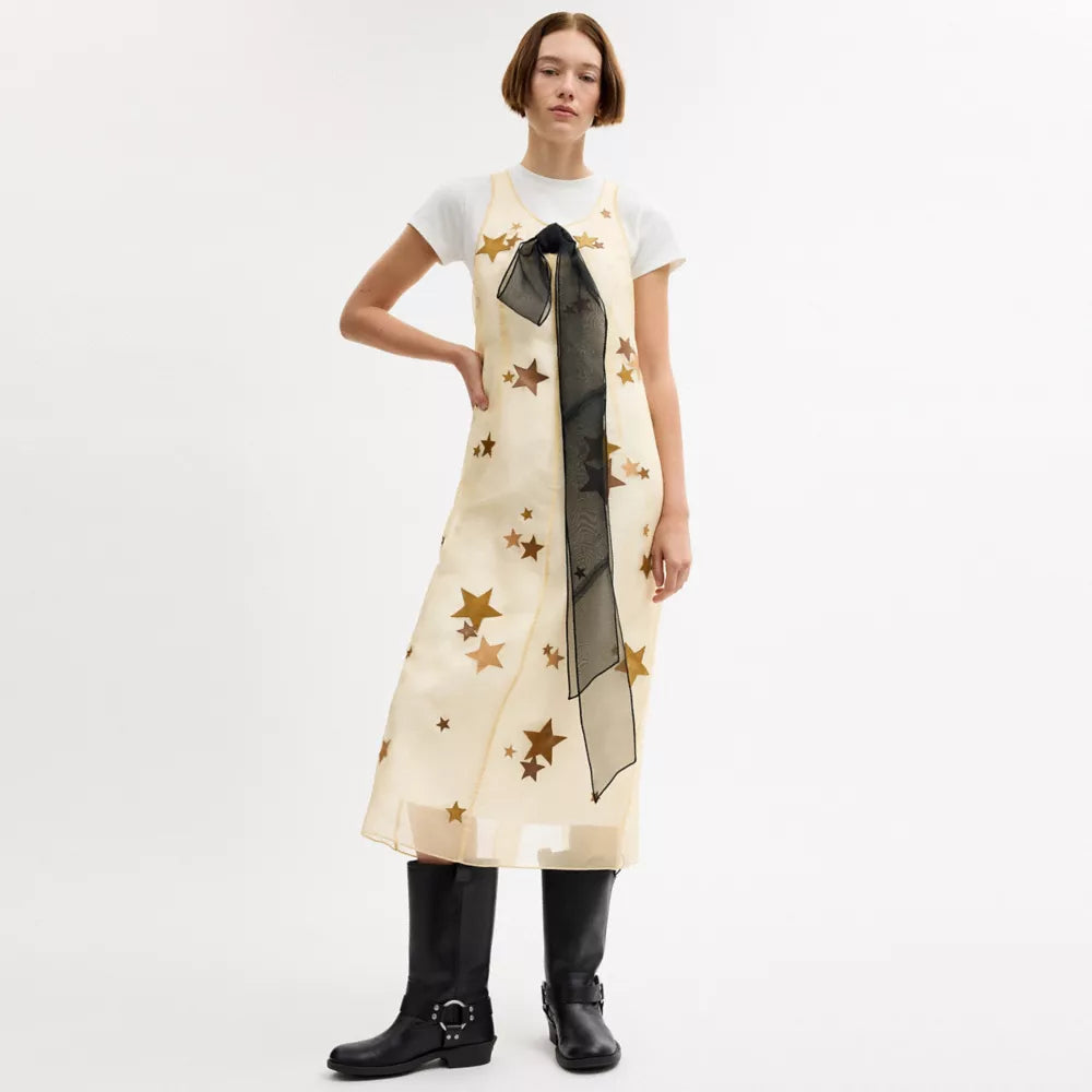 Star Organza Dress - White