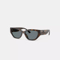 Geometric Cat Eye Sunglasses - Dark Tortoise