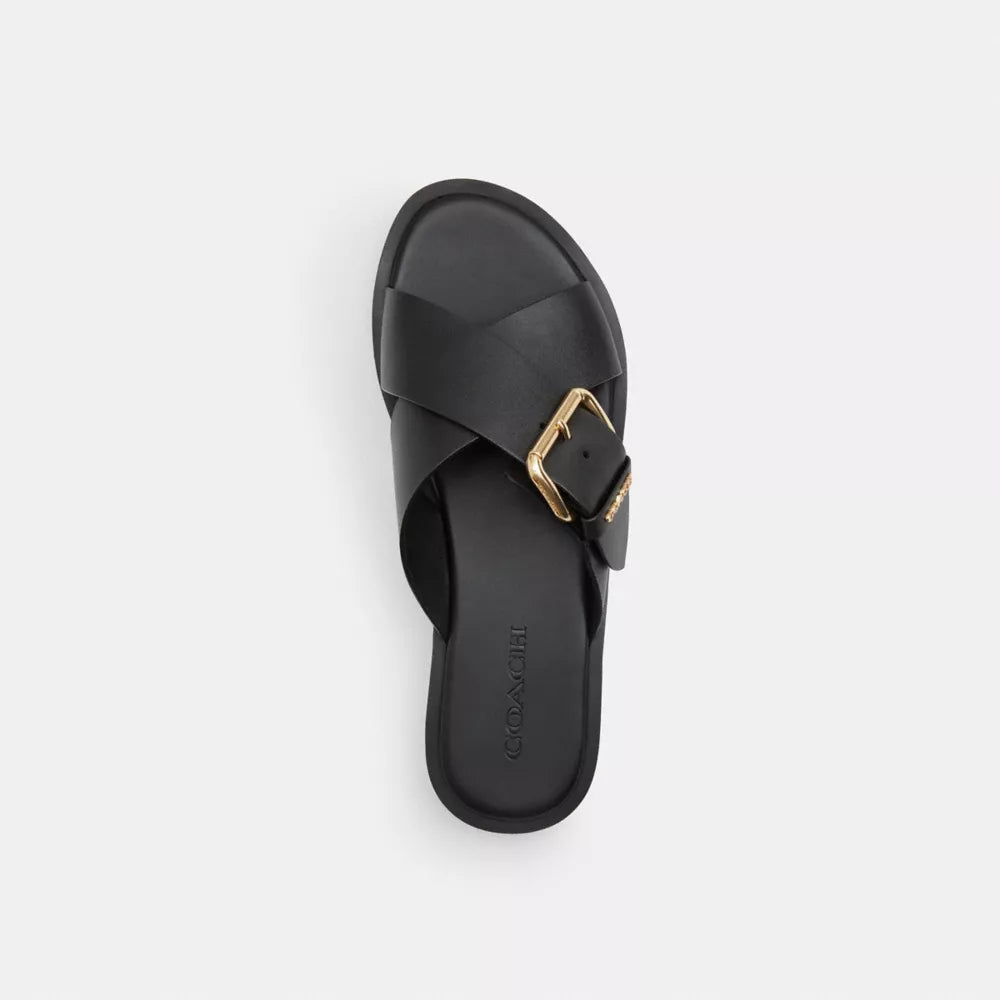 Crisscross Buckle Sandal - Coated Canvas/Black