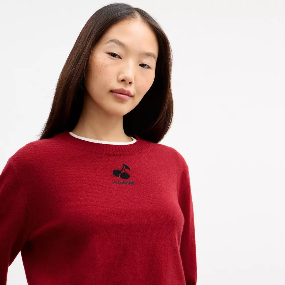 Mini Intarsia Crewneck Sweater - Red