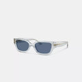 Charms Narrow Rectangle Sunglasses - Transparent Blue