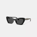 Wire Cat Eye Sunglasses - Black