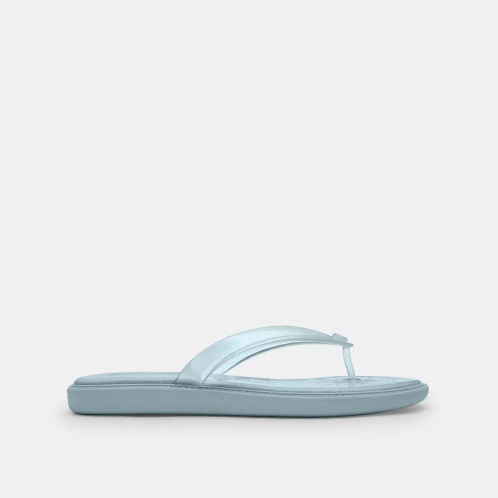 Jelly Flip Flop In Signature - Sea Mist