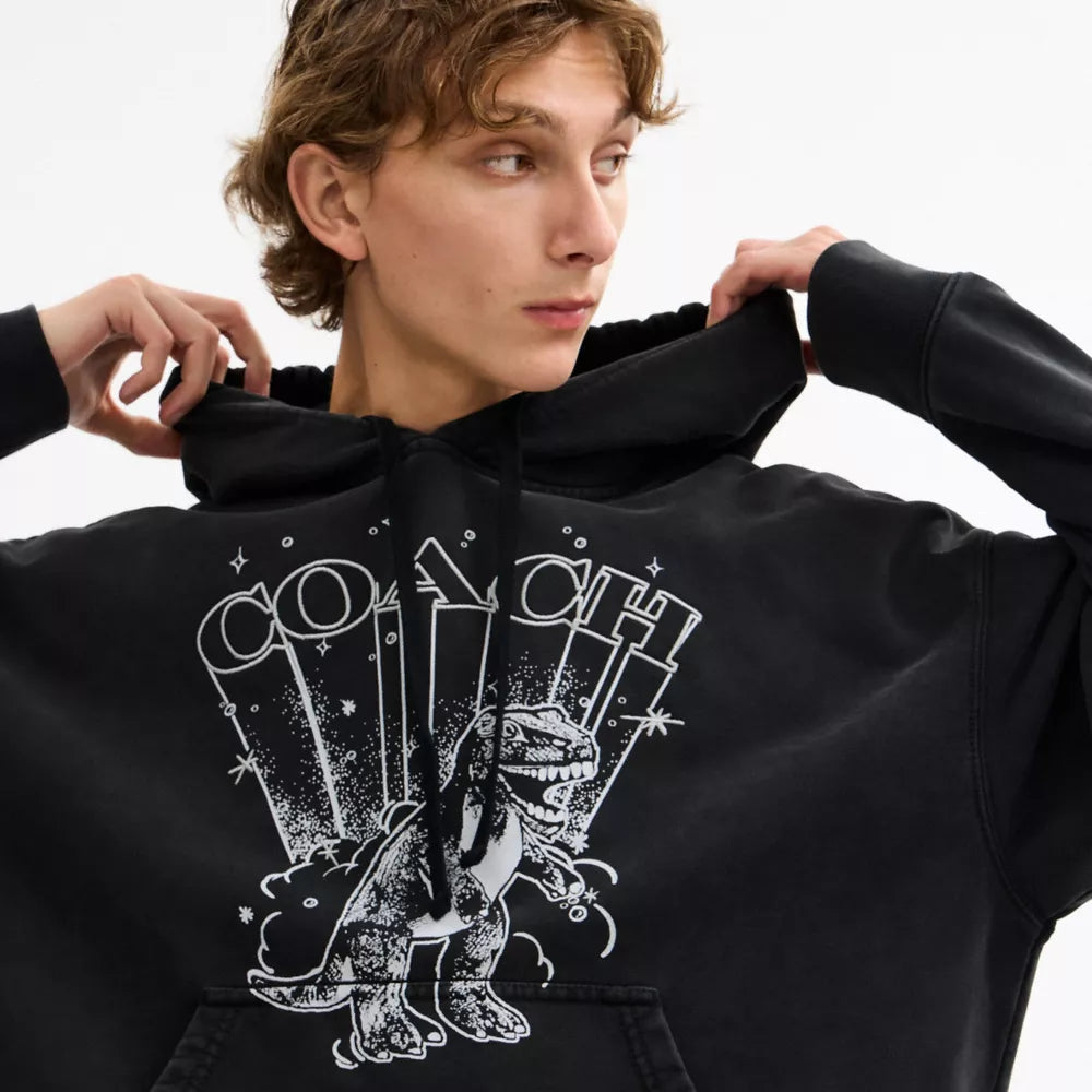 T-Rex Hoodie - Washed Black