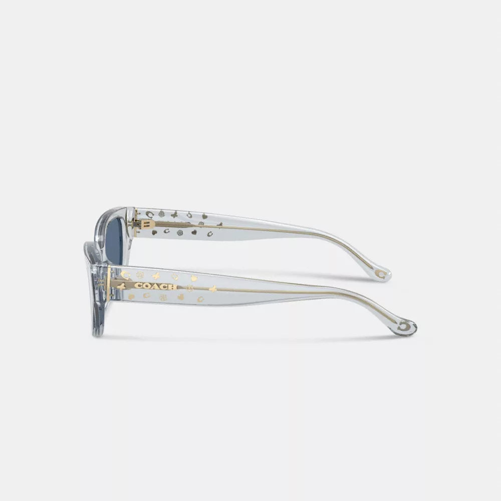 Charms Narrow Rectangle Sunglasses - Transparent Blue